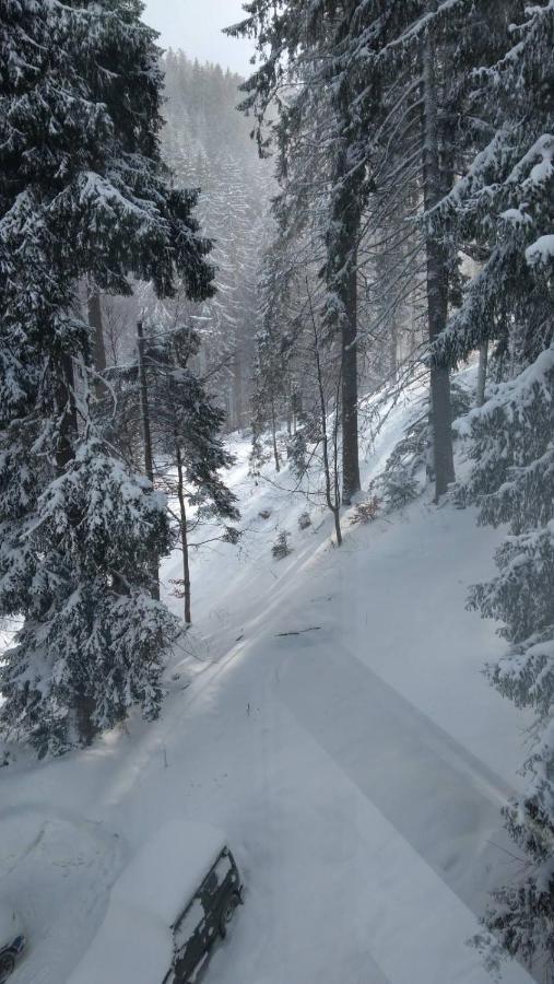 Ski & Holiday Apartments In Pamporovo Luaran gambar