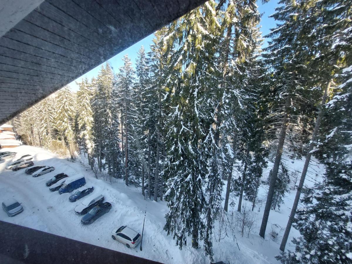 Ski & Holiday Apartments In Pamporovo Luaran gambar
