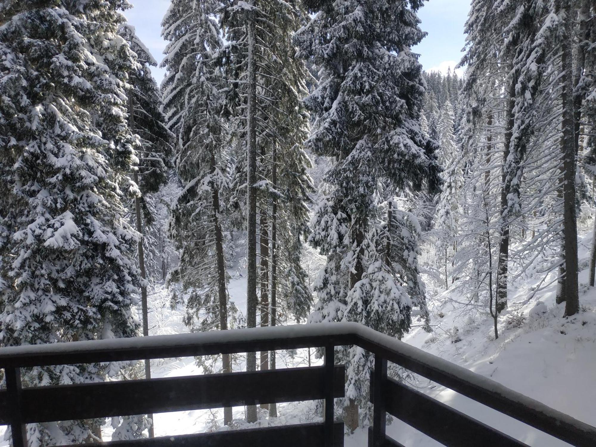 Ski & Holiday Apartments In Pamporovo Luaran gambar