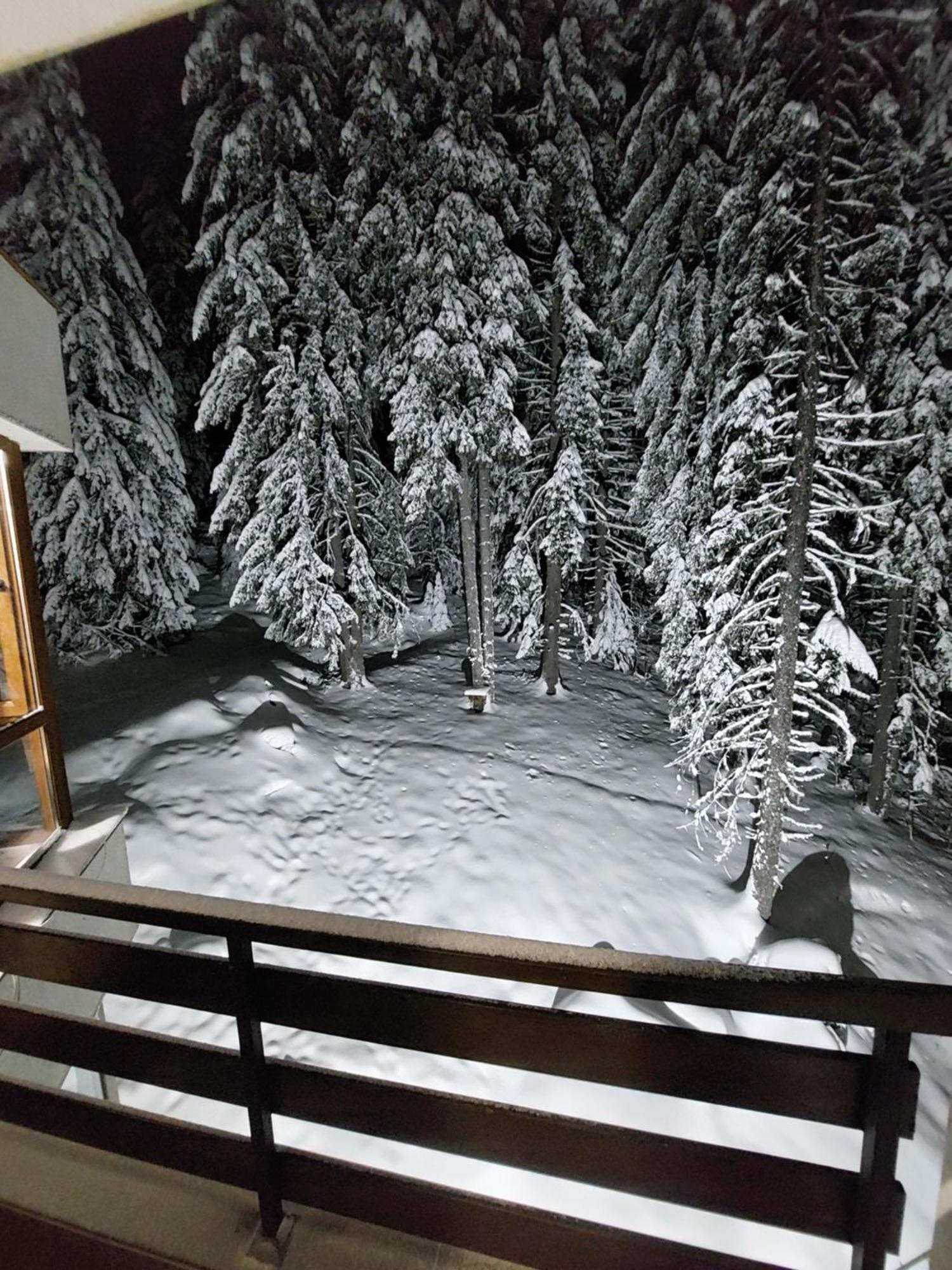 Ski & Holiday Apartments In Pamporovo Luaran gambar