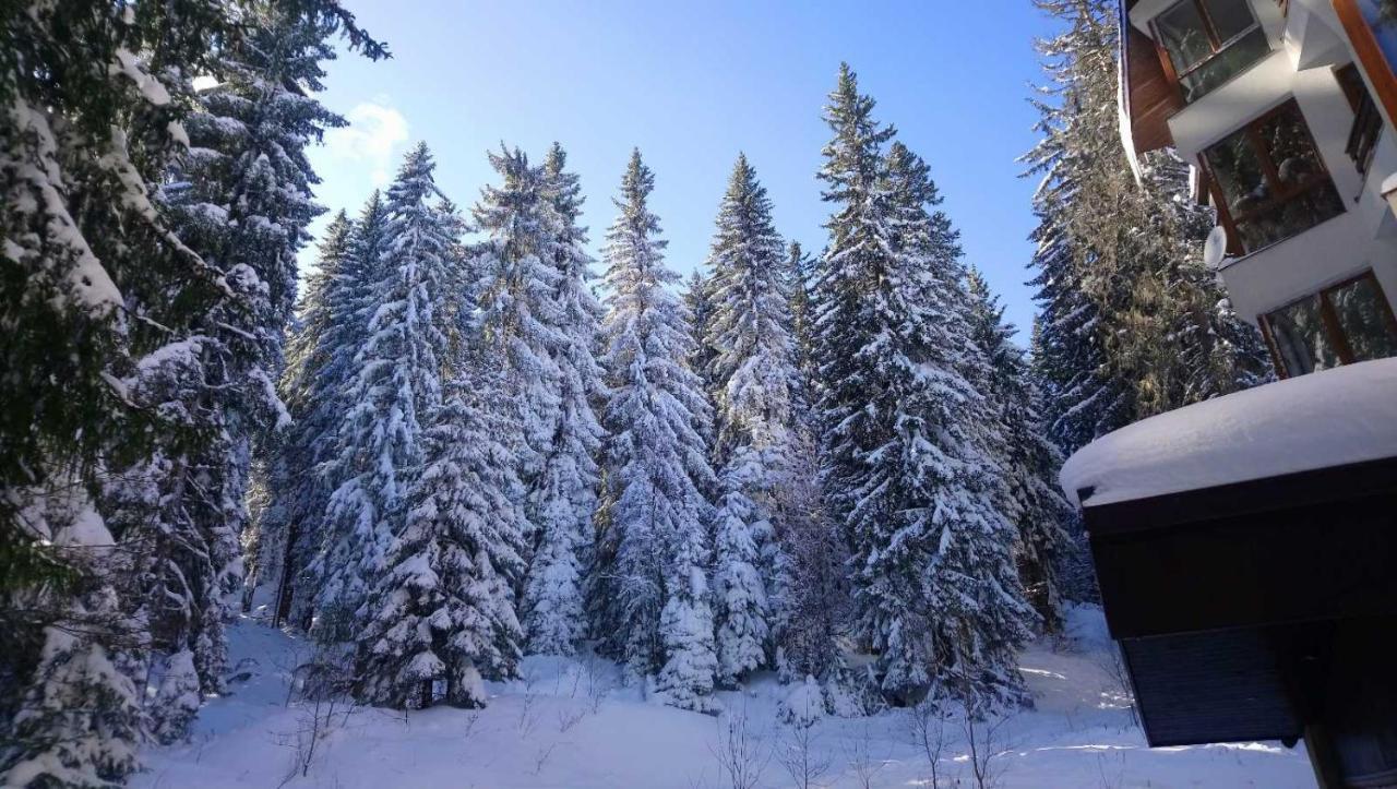Ski & Holiday Apartments In Pamporovo Luaran gambar